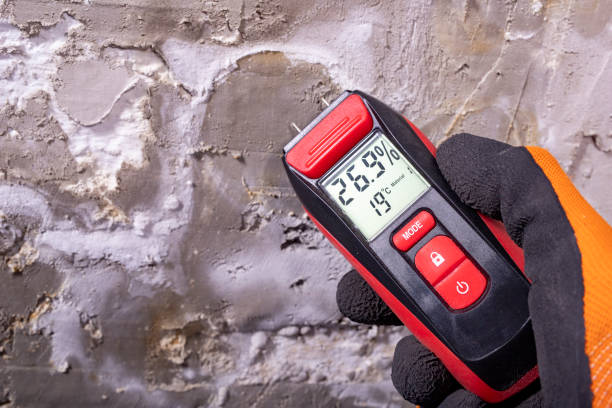 Best Mold Removal Near Me  in Morrow, OH