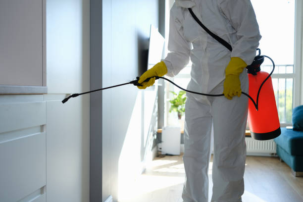 Best Best Mold Removal Companies  in Morrow, OH